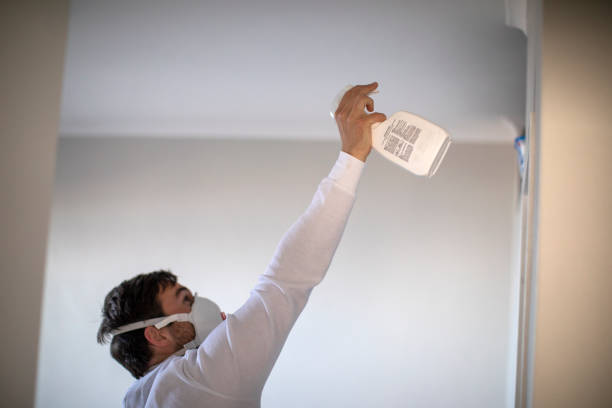 Best Mold Remediation Services  in Payson, UT