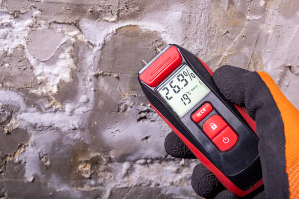 Attic Mold Removal in Payson, UT